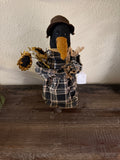Carol The Crow