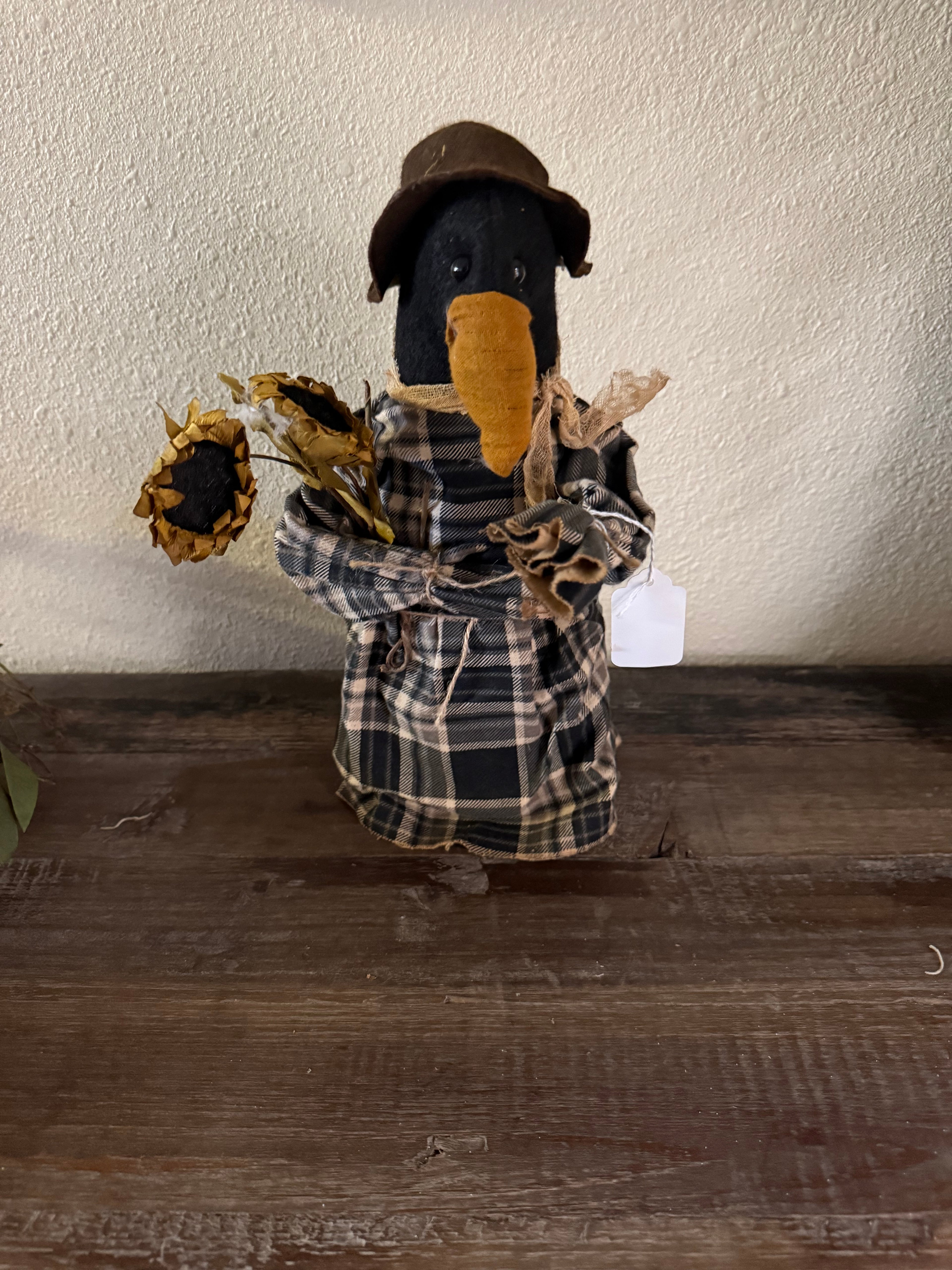 Carol the Crow